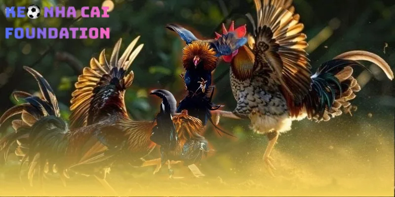 BDG Game trả thưởng với tốc độ nhanh chóng