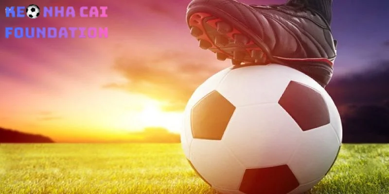 Cách Nhận Biết Bẫy Nhà Cái: 3 Loại Kèo Dụ Thường Gặp Và Cách Né Tránh Tuyệt Đối Cách Nhận Biết Bẫy Nhà Cái