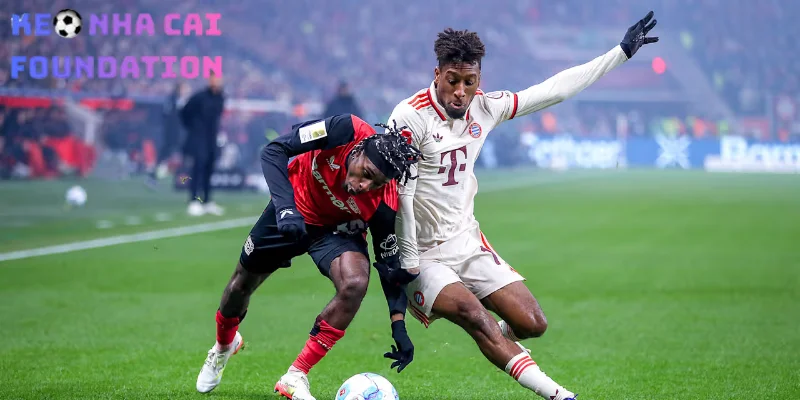 Thống kê tỷ lệ thắng kèo Châu Á của Bayer Leverkusen